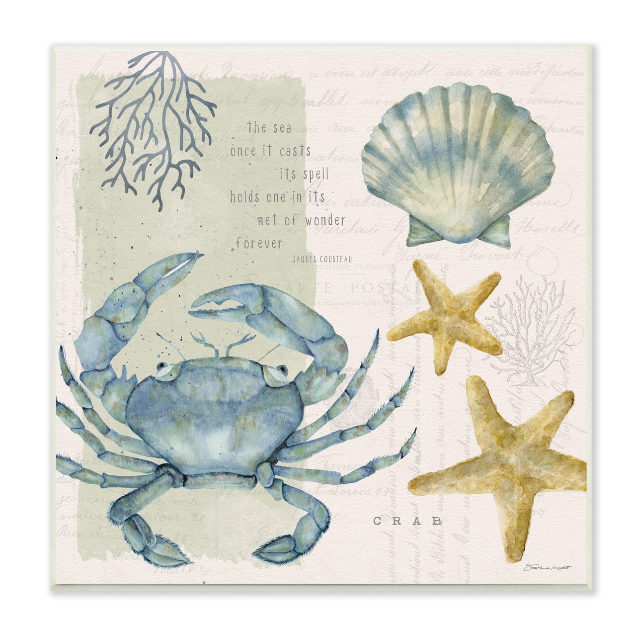 Stupell Industries Sea Casts Its Spell Quote Blue Crab Seashells,12" x 12"